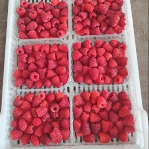 maline u plastičnim kutijicama