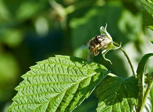 IMG-10ac1e6a748d27d7f9c556bc039da481-V