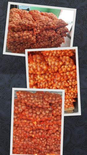 luk pakovan u džakove